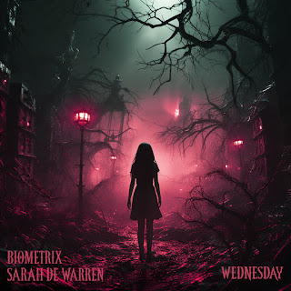 Biometrix & Sarah De Warren Wednesday Скачать И Слушать Музыку.