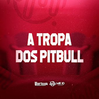 Mc Zudo Boladão A Tropa Dos Pitbull Ft Mc Menor Da Alvorada & Dj.