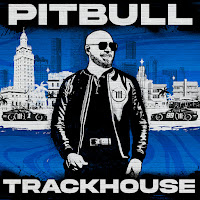 Pitbull Pata Sucia Скачать И Слушать Музыку Бесплатно