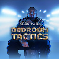 Sean Paul Bedroom Tactics Скачать И Слушать Музыку Бесплатно