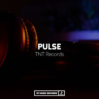 Tnt Records Pulse Скачать И Слушать Музыку Бесплатно